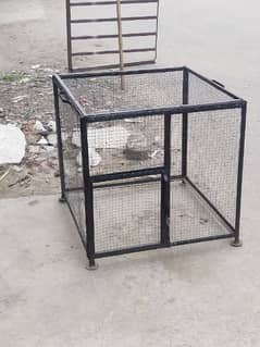 2x2 Hens Cage 0