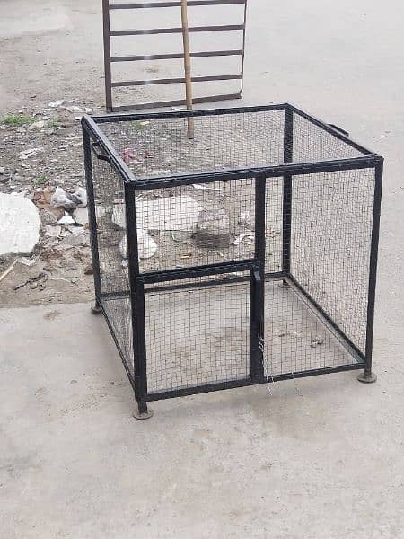 2x2 Hens Cage 0