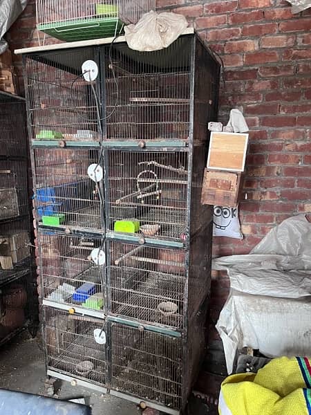 8 portion lover birds cages 14