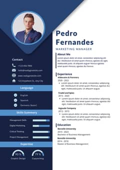 Professional CV/Resume Designers 0