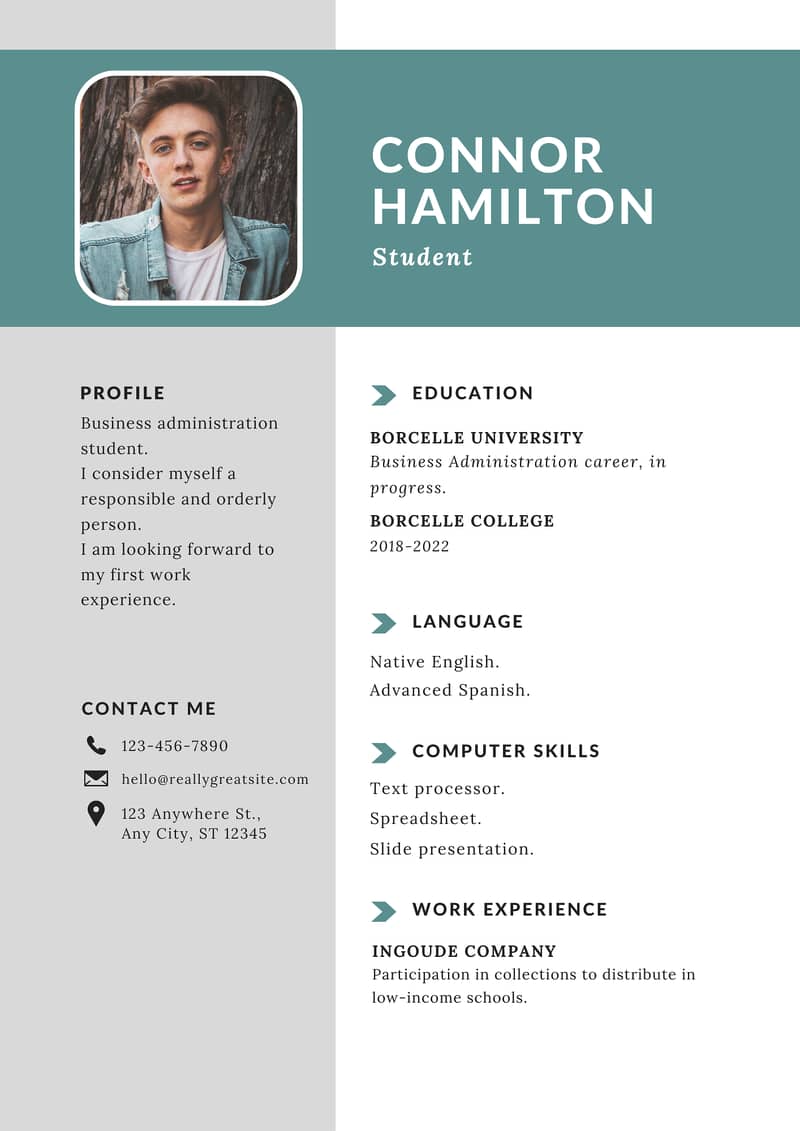 Professional CV/Resume Designers 1