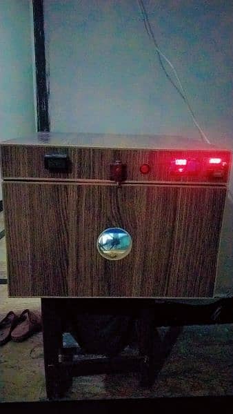 fully automatic incubatar for sale 0