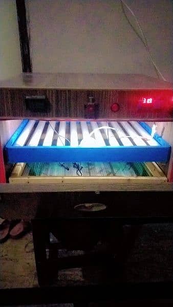 fully automatic incubatar for sale 3