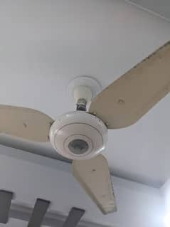 Millet fan Available for sale perfect in use 0