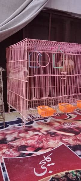 urgent sale parrot cage 1