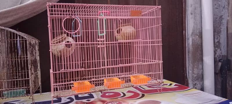 urgent sale parrot cage 3