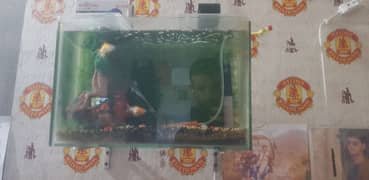 Aquarium with 2 Goldfish and 1 Shark For SALE, Complete Accessories