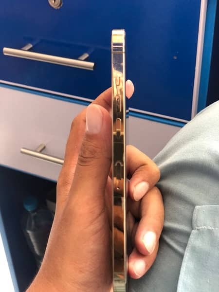 iPhone 12 Pro Max Gold 3