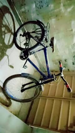 phonix cycle for sale 0