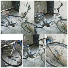 cycle for sale