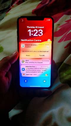 xs max 256 gb add read kara