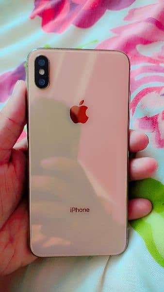 xs max 256 gb add read kara 9