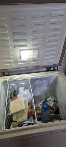 dawlence single door freezer 2