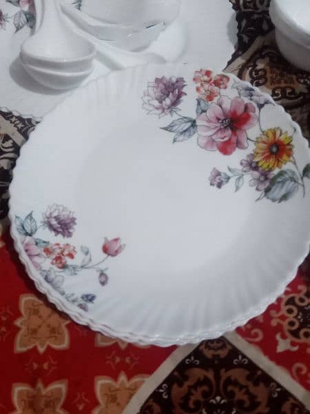 dinner set for sale saf conditions 6