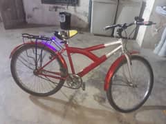 Phoenix cycle for sale