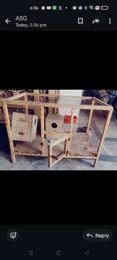 Parrot Cage for sale