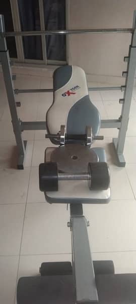 Excercise Bench with Rod plates and Dumbels 1