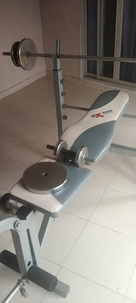 Excercise Bench with Rod plates and Dumbels 2