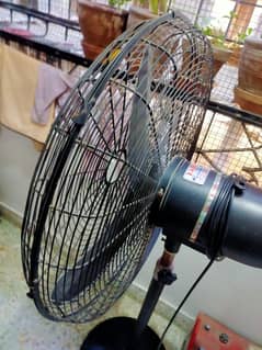 Pedestal fan 0