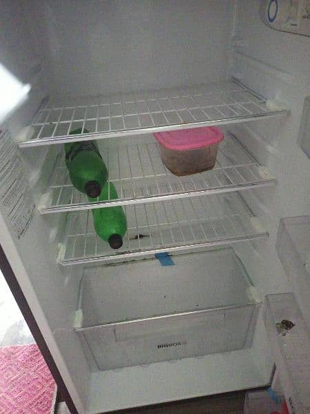 fridge 11