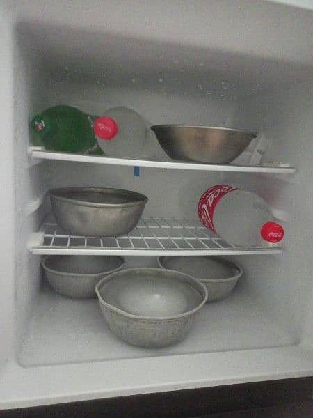 fridge 12