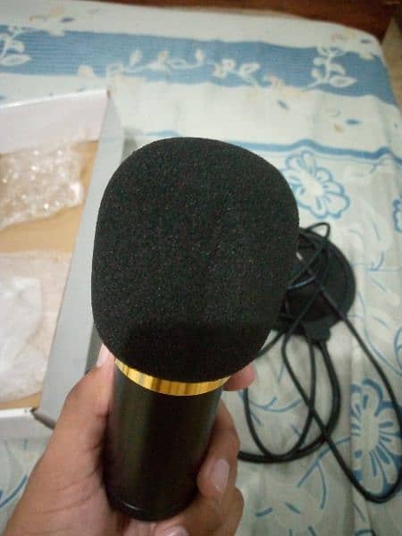 Condenser Mic 4