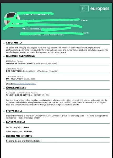 make your CV in professnail 1