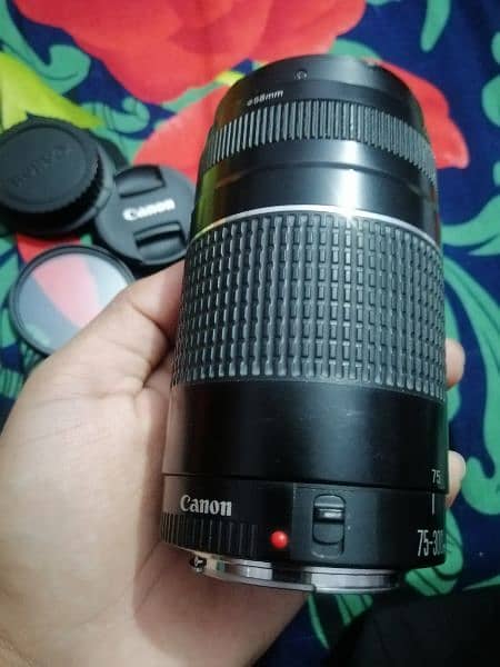 75-300mm lens condition 10.10 1