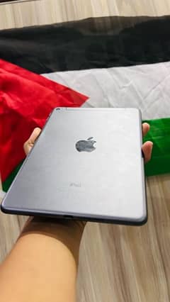 Ipad Mini 5