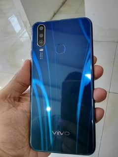 Vivo