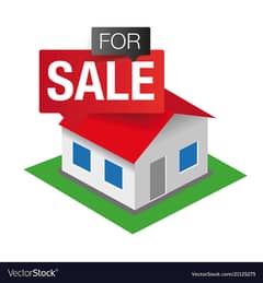 House for Sale, Qatar Morr petrol pump, Near 40 ki Market 0