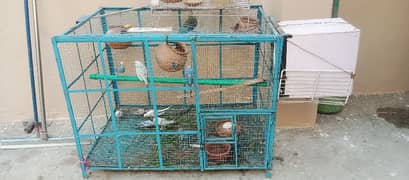 cage for birds and hens