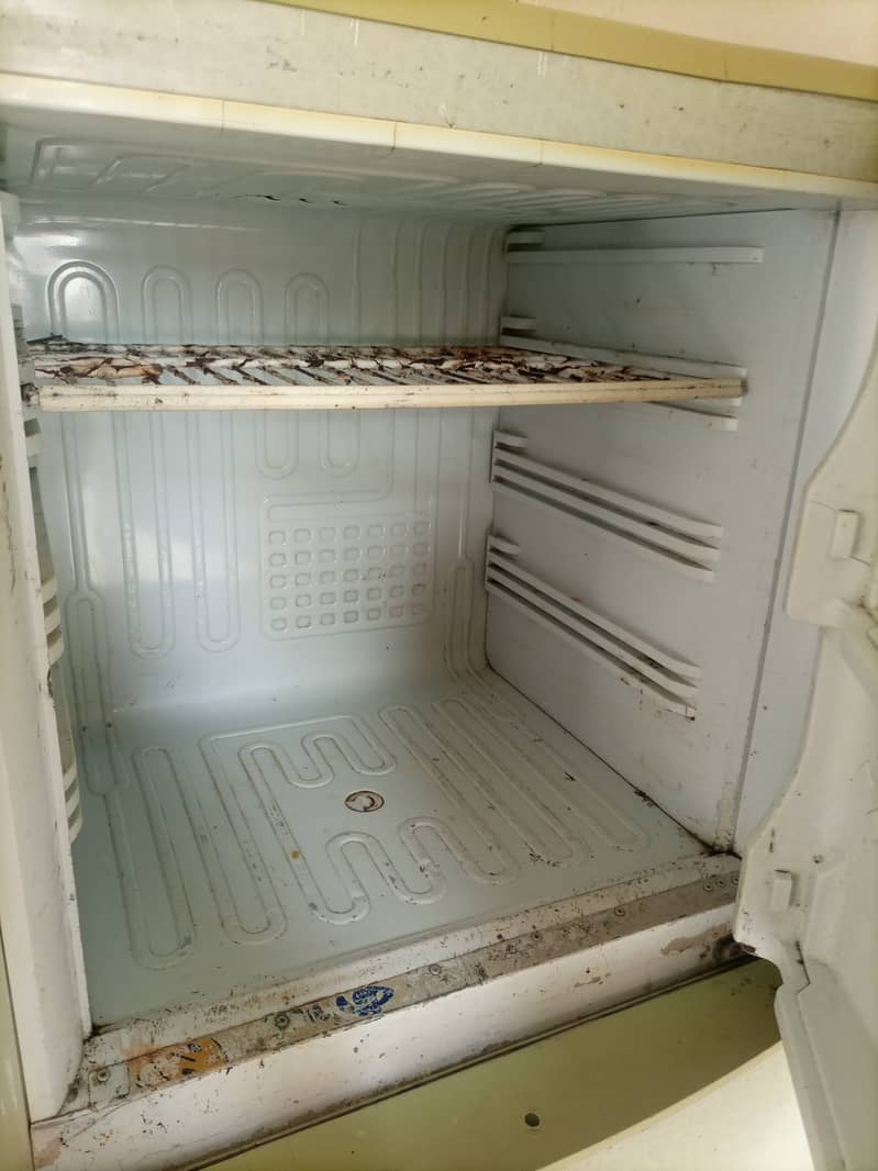 PEL fridge 1