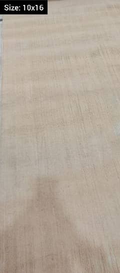 Pakistani Room Carpet (10x16ft) For Sale