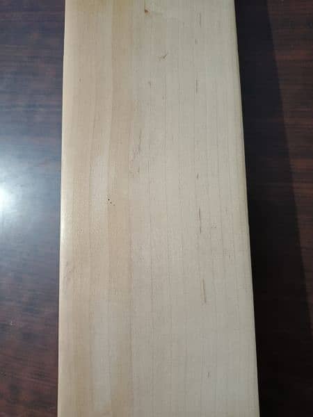 brand new hard ball cricket bat at factory rate(pure English Willow) 6