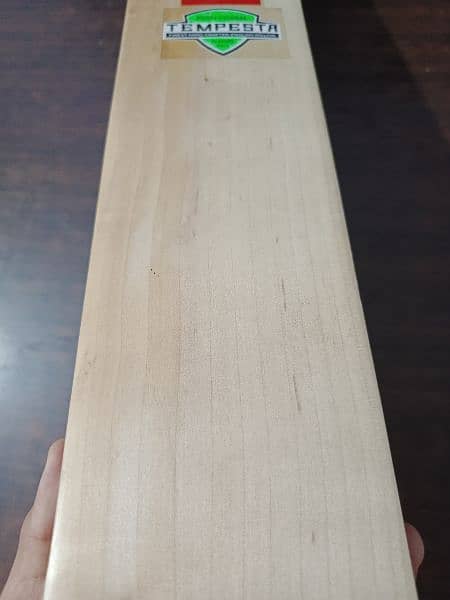 brand new hard ball cricket bat at factory rate(pure English Willow) 9