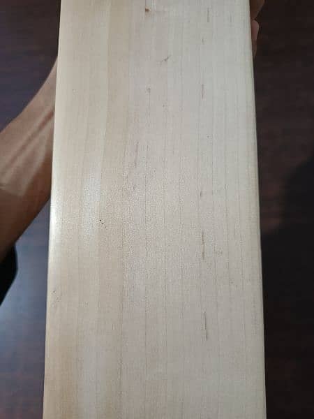 brand new hard ball cricket bat at factory rate(pure English Willow) 13