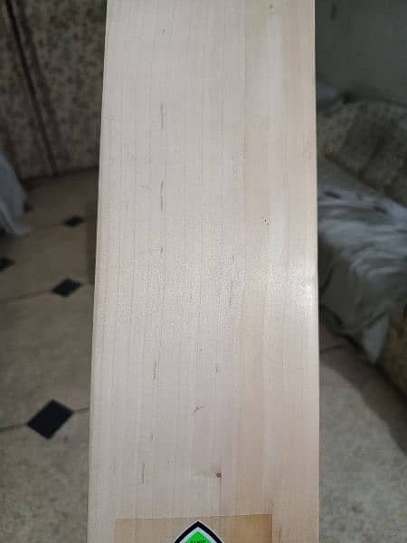 brand new hard ball cricket bat at factory rate(pure English Willow) 19