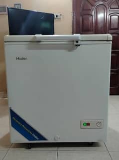 Haier Single Door Deep Freezer 245L