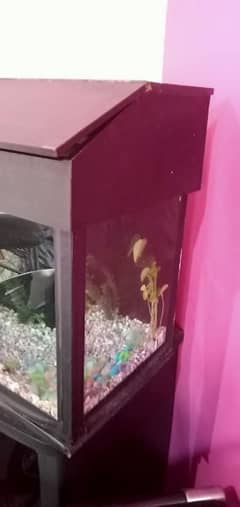 Aquarium for sale