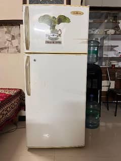 Falcon Refrigerator + Freezer 63 inch (USED)