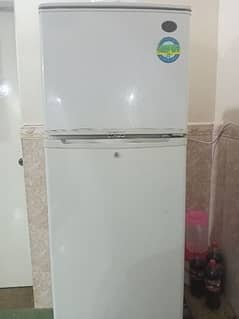 1 door LG refrigerator no frost