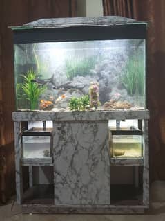 Aquarium for sale 0