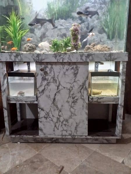 Aquarium for sale 3