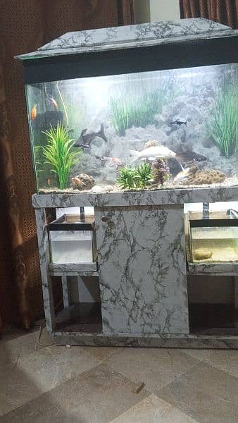 Aquarium for sale 4