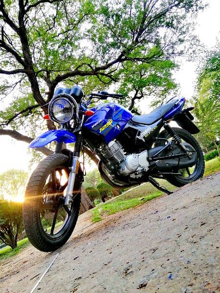 YAMAHA YBR 125 G BLUE 2