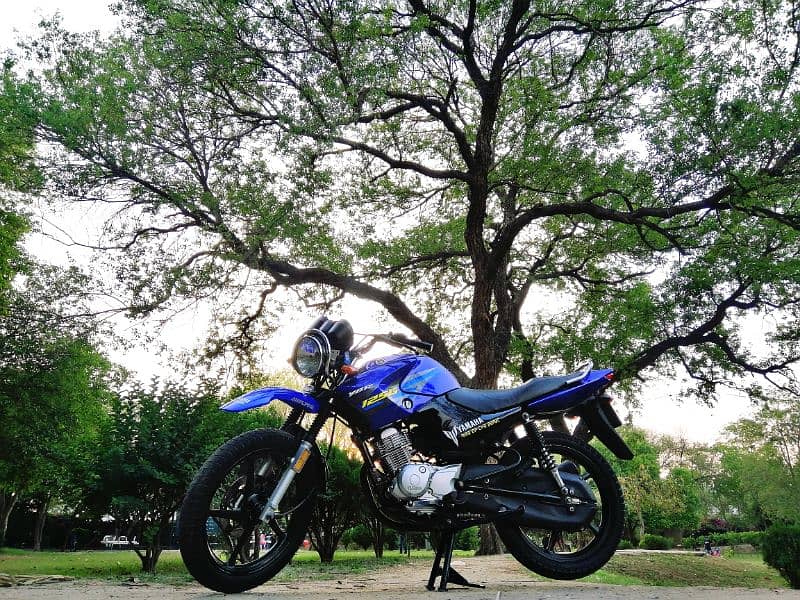 YAMAHA YBR 125 G BLUE 3