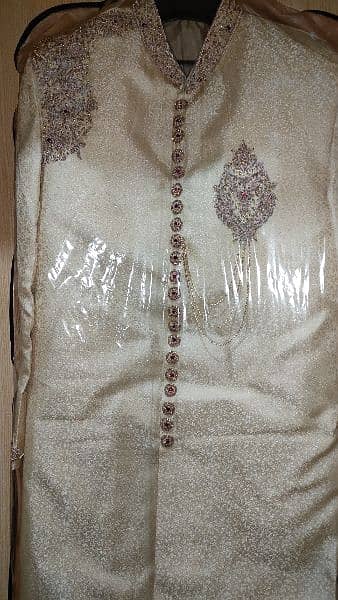 sherwani standard size 6