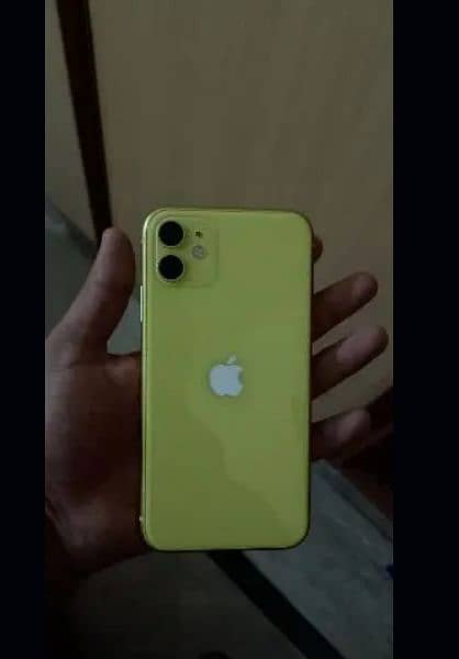 iPhone 11 0