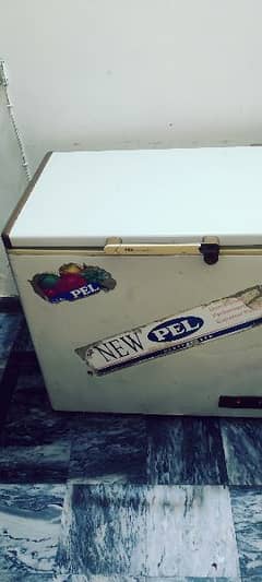 Freezer Good Condition Pell Oregenal Child 0